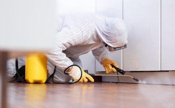 Commercial Pest Control Services: Preserving Cleanliness and Productivity