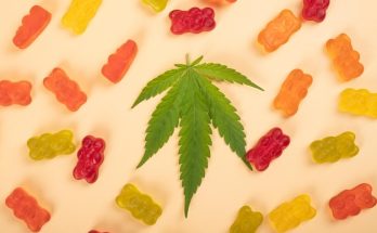 Weed Gummies: Your Ultimate Guide