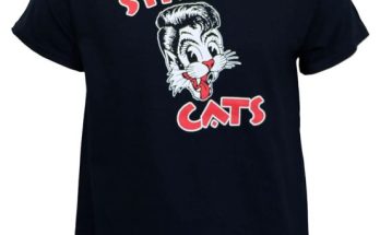 Decoding the Stray Merchandise Hype: What Makes It Stand Out