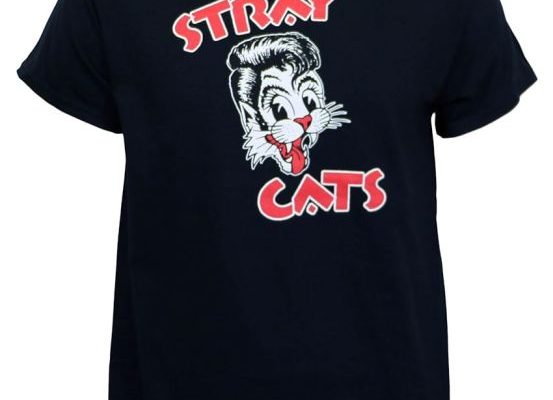 Decoding the Stray Merchandise Hype: What Makes It Stand Out
